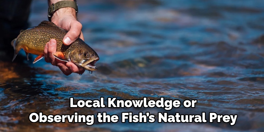 Local Knowledge or Observing the Fish’s Natural Prey