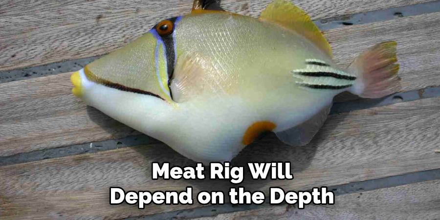 Meat Rig Will Depend on the Depth