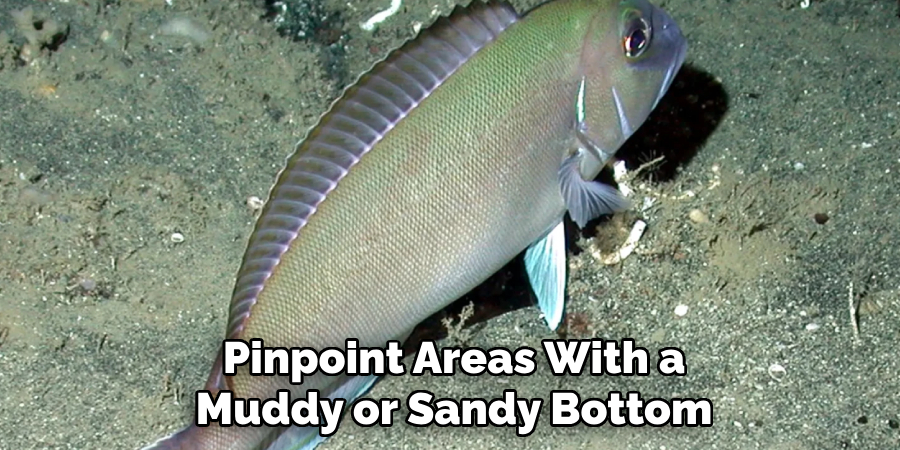 Pinpoint Areas With a
Muddy or Sandy Bottom