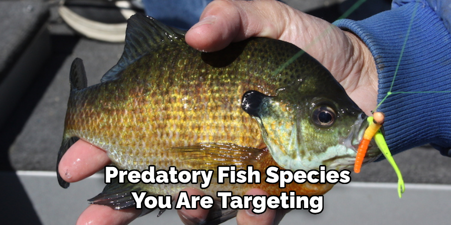 Predatory Fish Species You Are Targeting