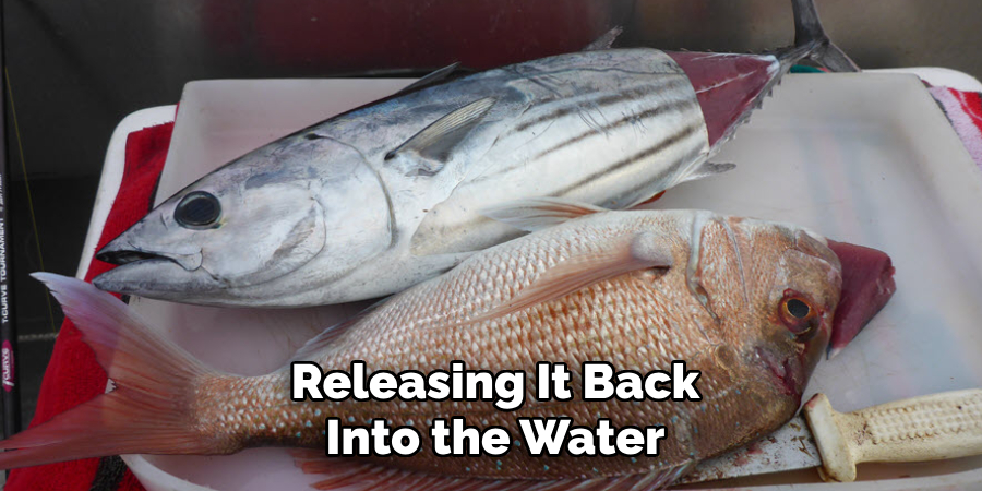 Releasing It Back Into the Water