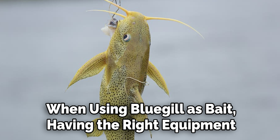 When Using Bluegill as Bait, Having the Right Equipment