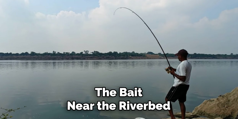 The Bait
Near the Riverbed