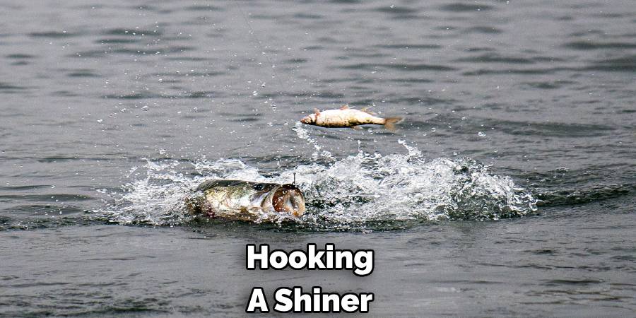 Hooking
A Shiner