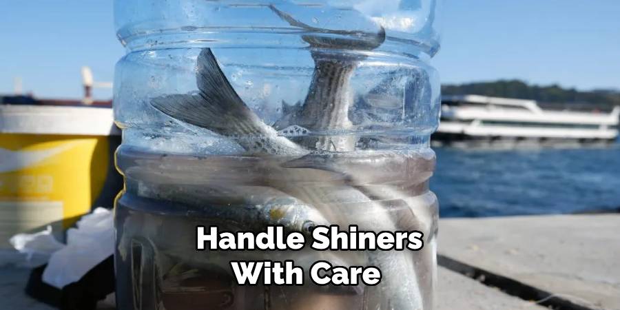 handle shiners with care