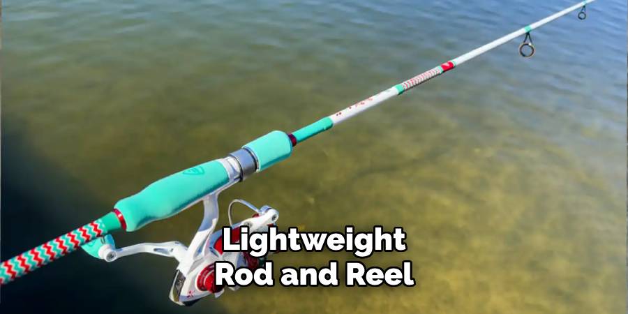 Lightweight
Rod and Reel