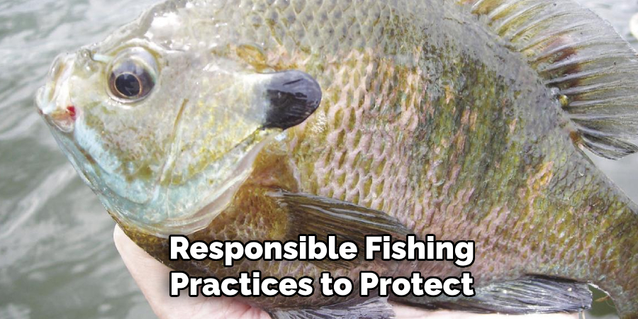 Responsible Fishing Practices to Protect