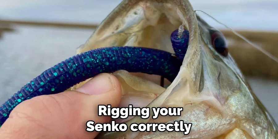 Rigging your Senko correctly