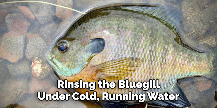 Rinsing the Bluegill Under Cold, Running Water