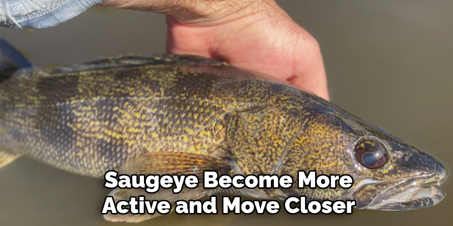 Saugeye Become More
Active and Move Closer
