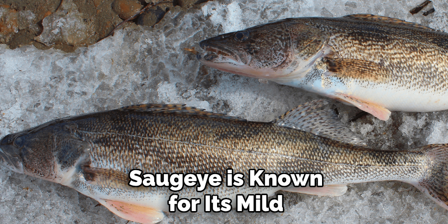 Saugeye is Known for Its Mild
