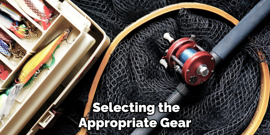 Selecting the Appropriate Gear