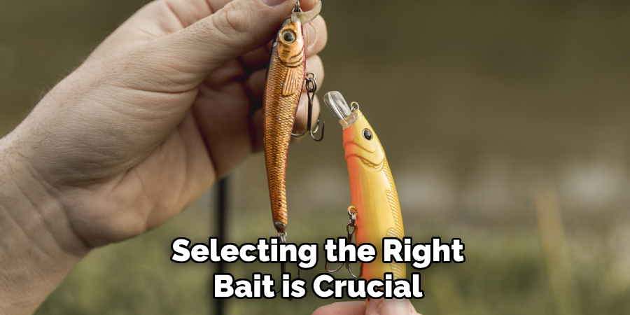 Selecting the right bait is crucial