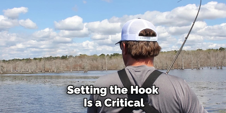 Setting the Hook Is a Critical