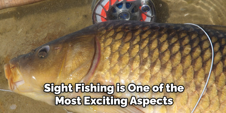 Sight Fishing is One of the Most Exciting Aspects