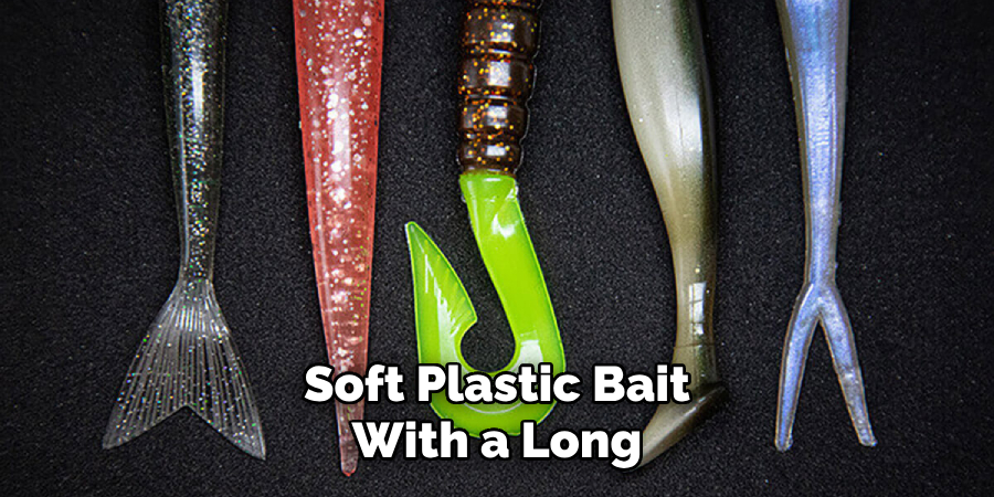 Soft Plastic Bait With a Long