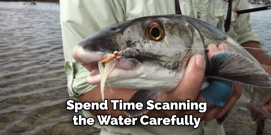 Spend Time Scanning the Water Carefully