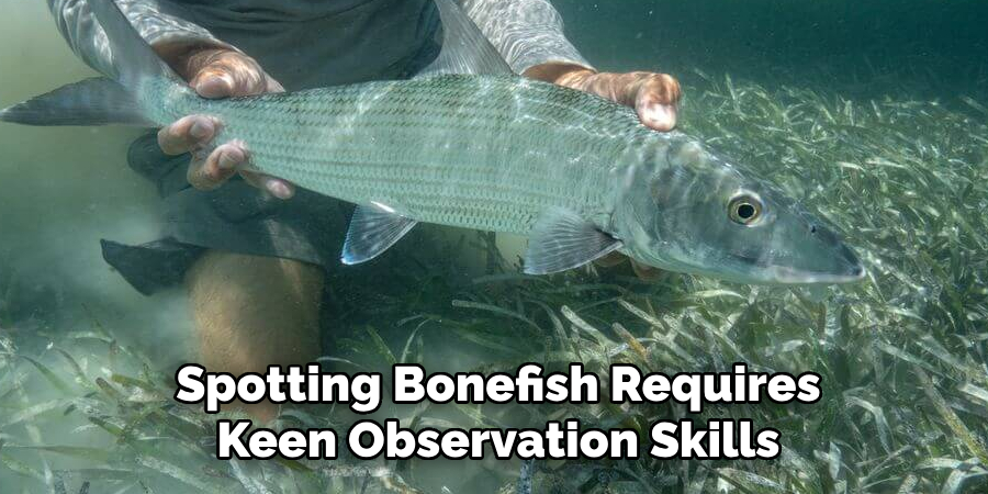 Spotting Bonefish Requires Keen Observation Skills