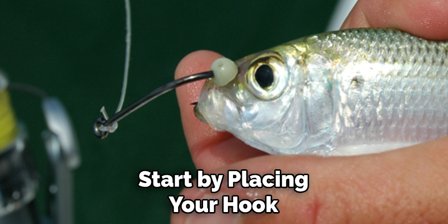 Start by Placing
Your Hook