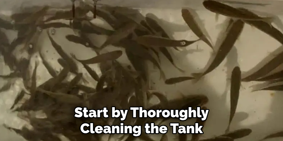 Start by Thoroughly Cleaning the Tank