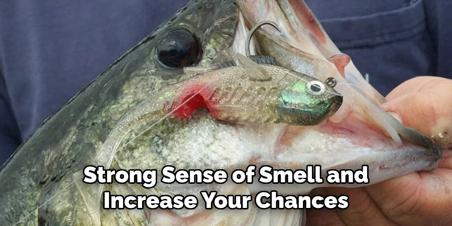 Strong Sense of Smell and Increase Your Chances