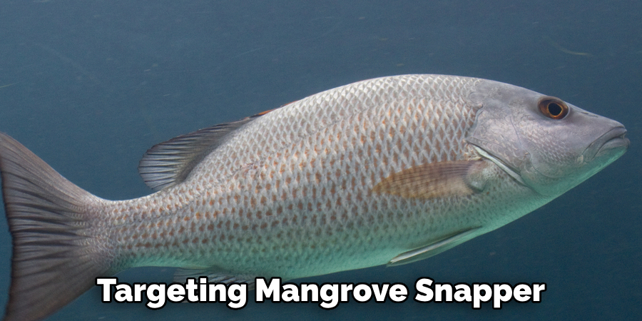 Targeting Mangrove Snapper