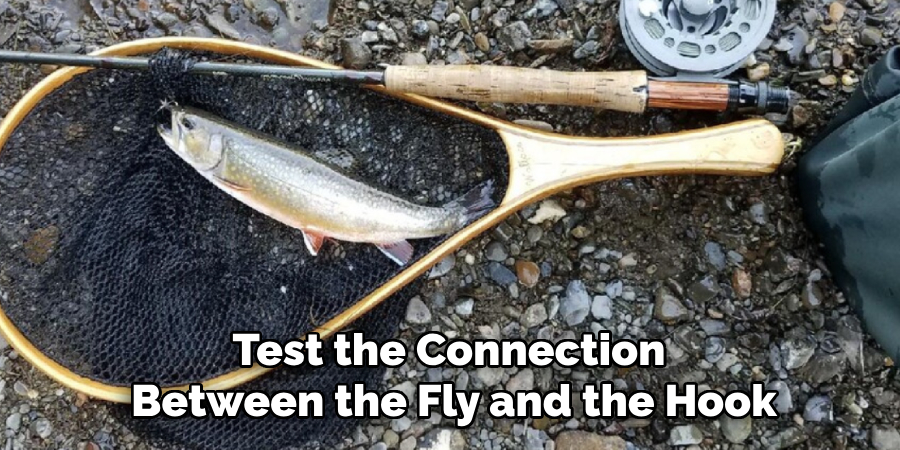 Test the Connection Between the Fly and the Hook