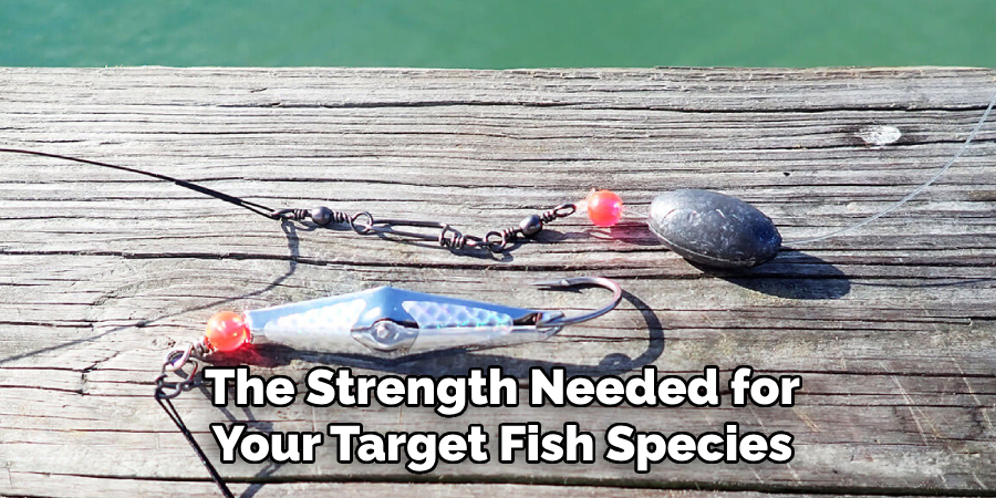 The Strength Needed for Your Target Fish Species