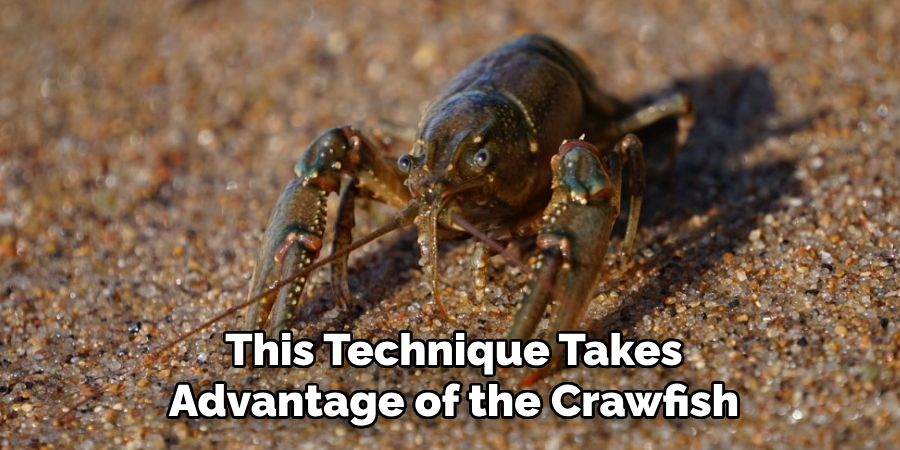 This Technique Takes Advantage of the Crawfish