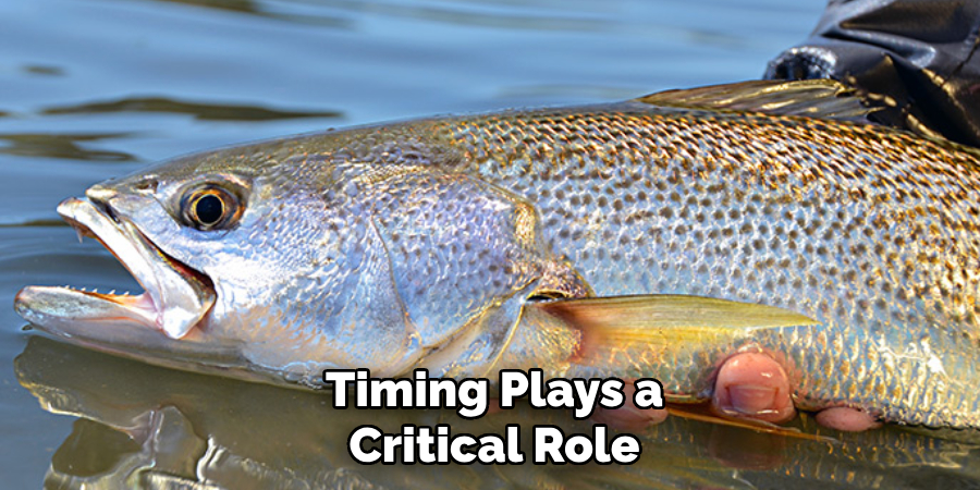 Timing Plays a Critical Role