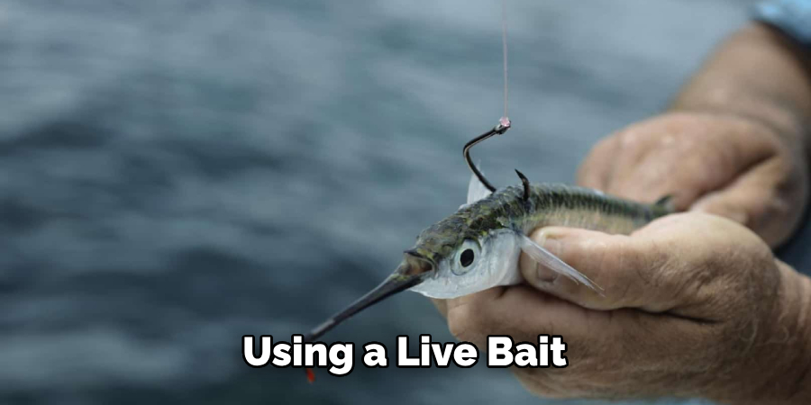 Using a Live Bait 