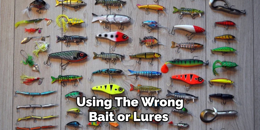 Using the Wrong Bait or Lures 