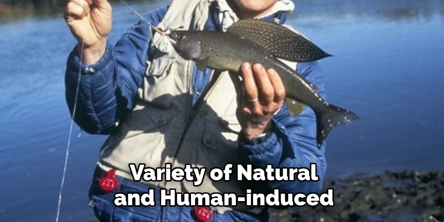 Variety of Natural and Human-induced