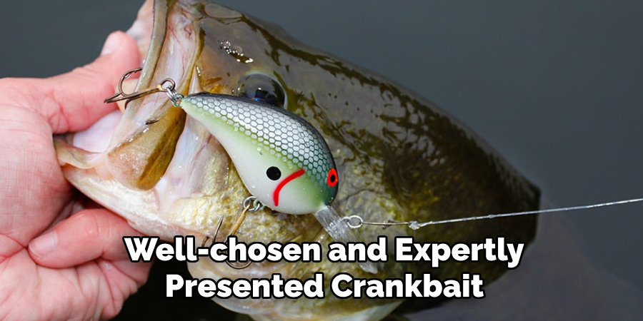 Well-chosen and Expertly Presented Crankbait
