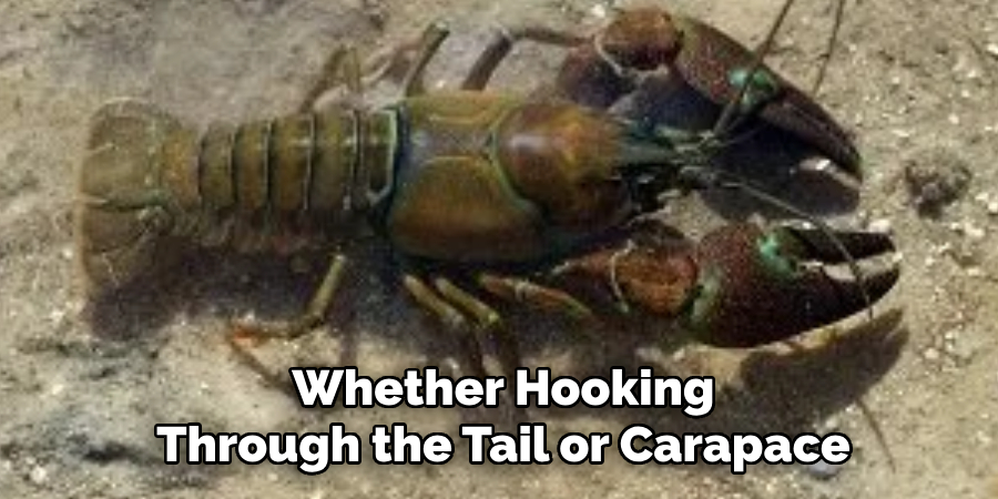 Whether Hooking Through the Tail or Carapace