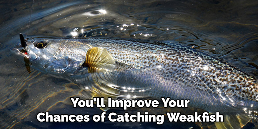 You’ll Improve Your
Chances of Catching Weakfish