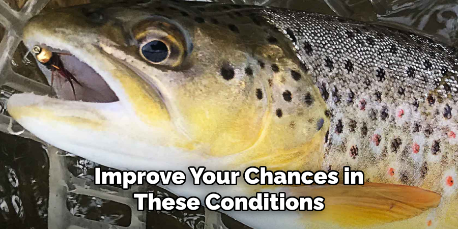 Improve Your Chances in These Conditions