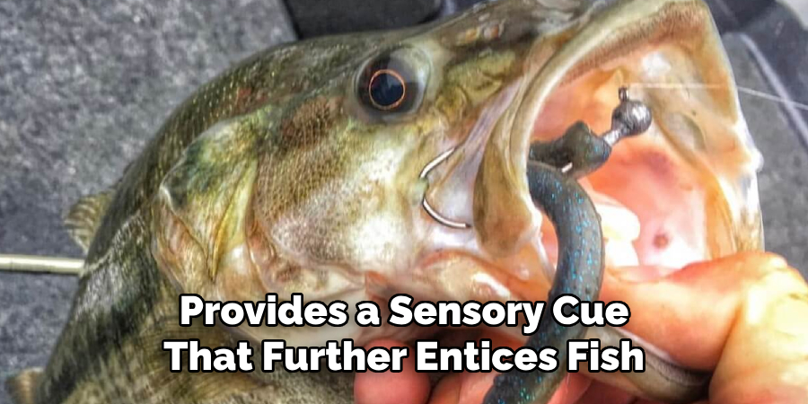 Provides a Sensory Cue That Further Entices Fish