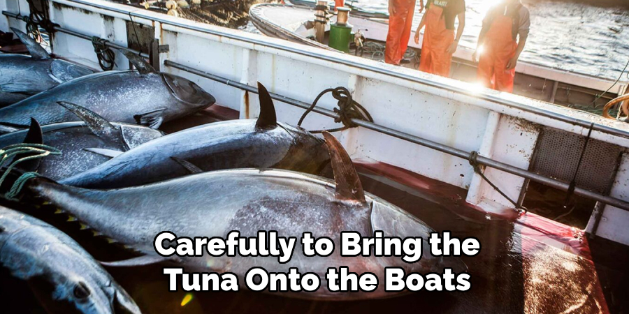 Carefully to Bring the Tuna Onto the Boats