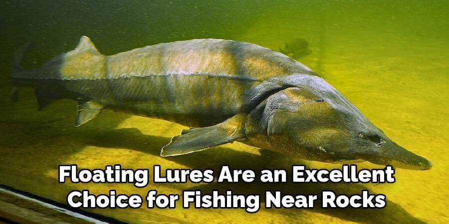 Floating Lures Are an Excellent Choice for Fishing Near Rocks